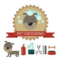 Pet Grooming graphic